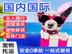阿尔山伊尔施航空货运国际宠物托运 【国